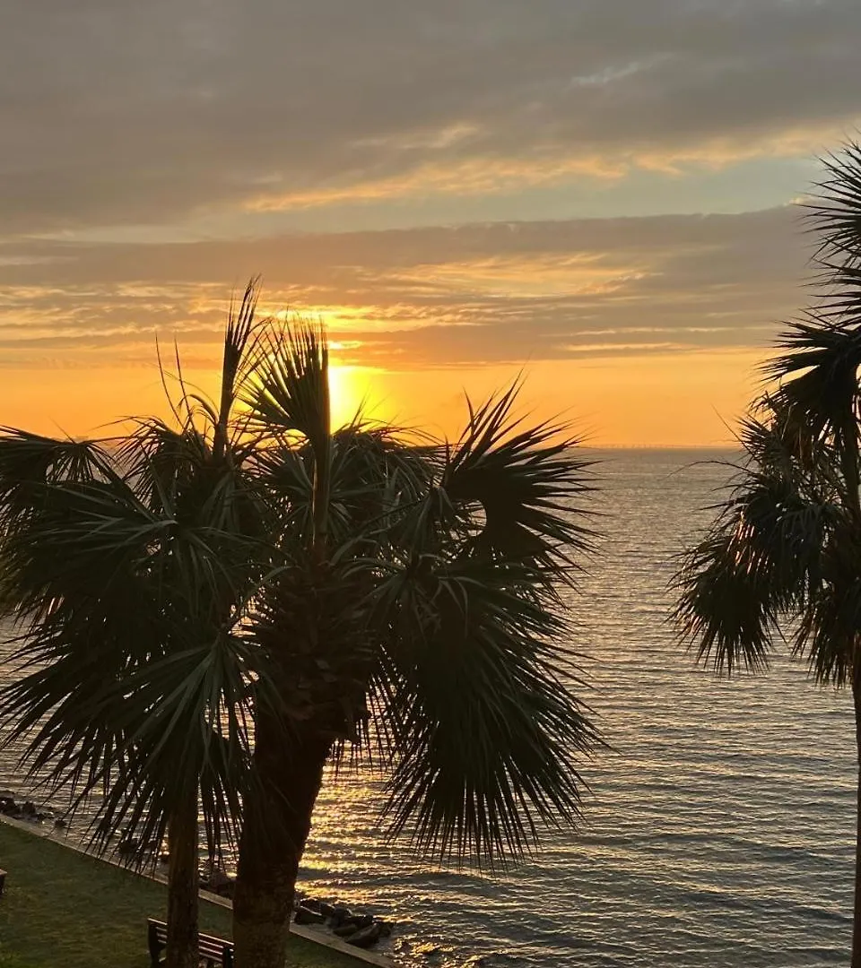 Lägenhet Sandestin Bayfront Studio With Balcony And Breathtaking Views